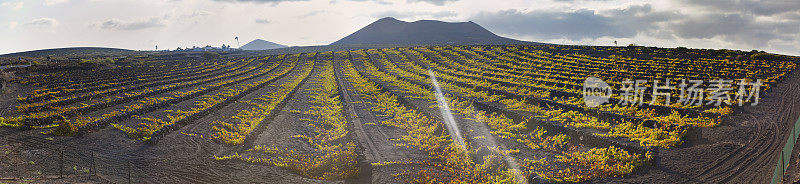 La Geria火山葡萄酒谷